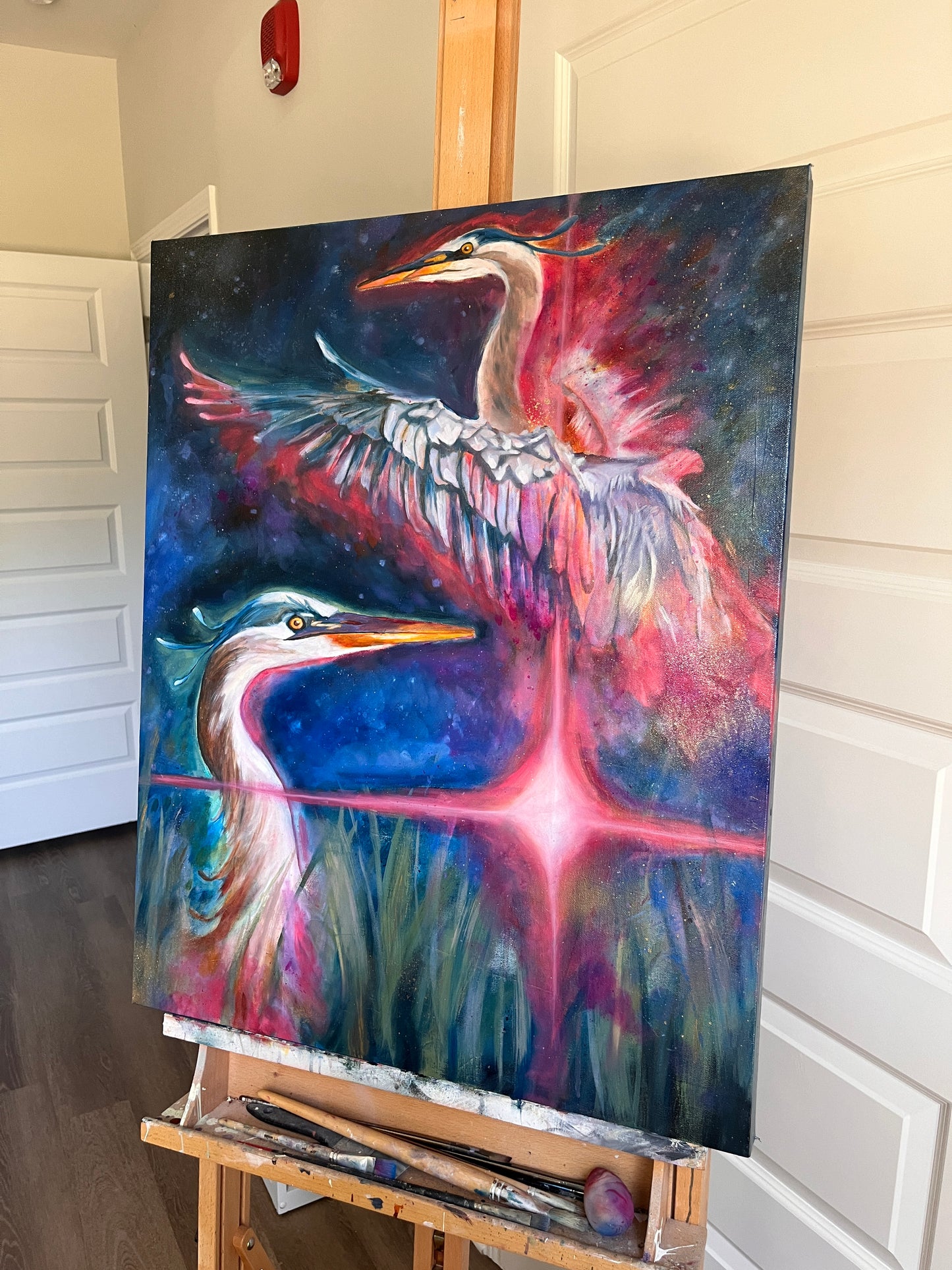 “Wings Of Stardust”