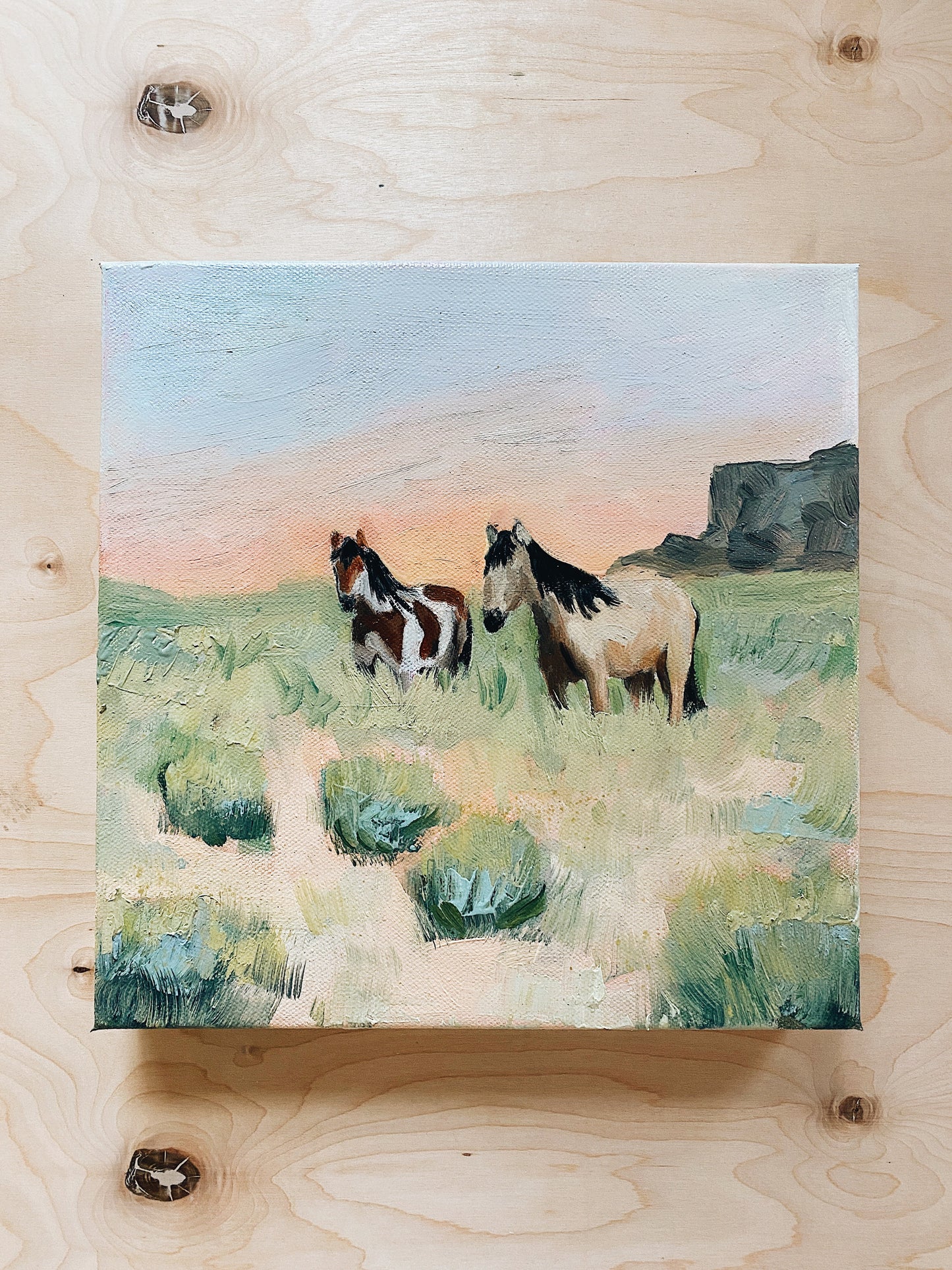 "Where the Mustangs Roam"