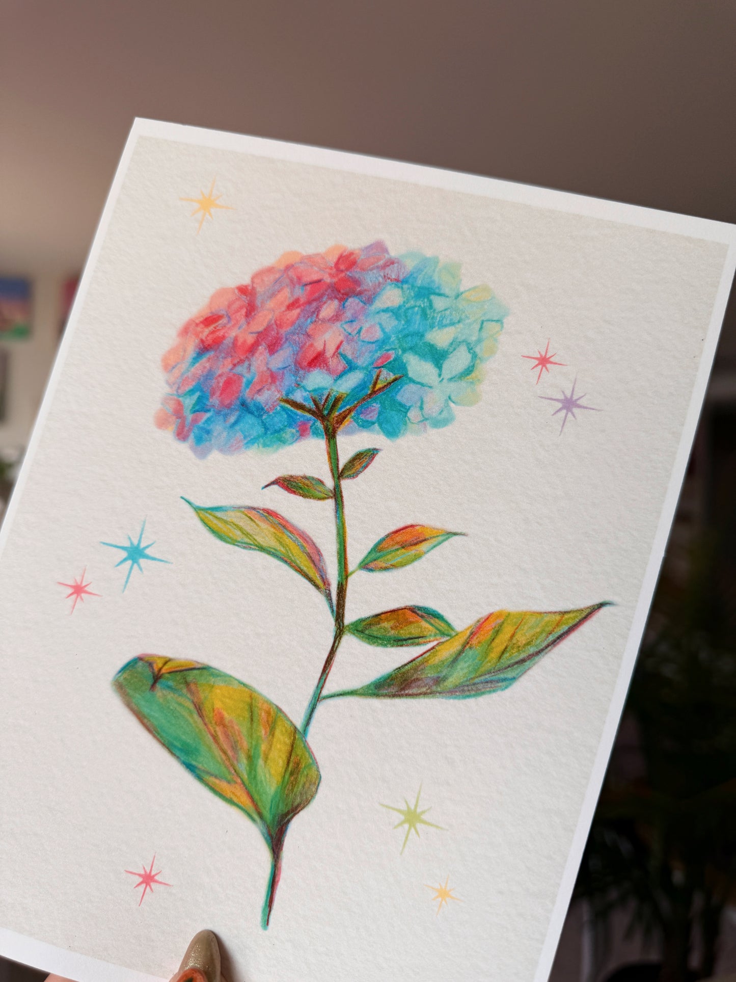 Hydrangea Print