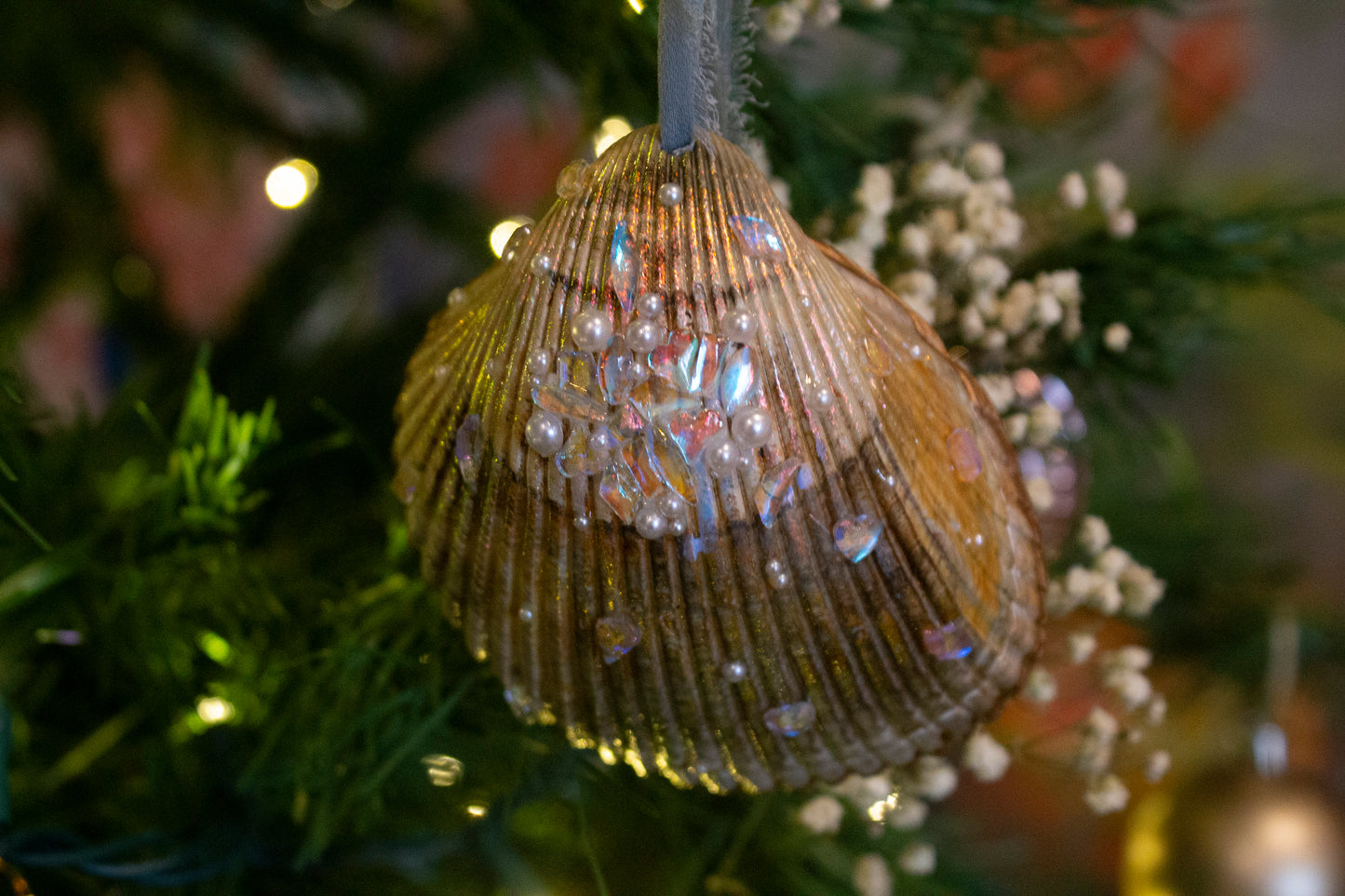 Seashell Ornaments