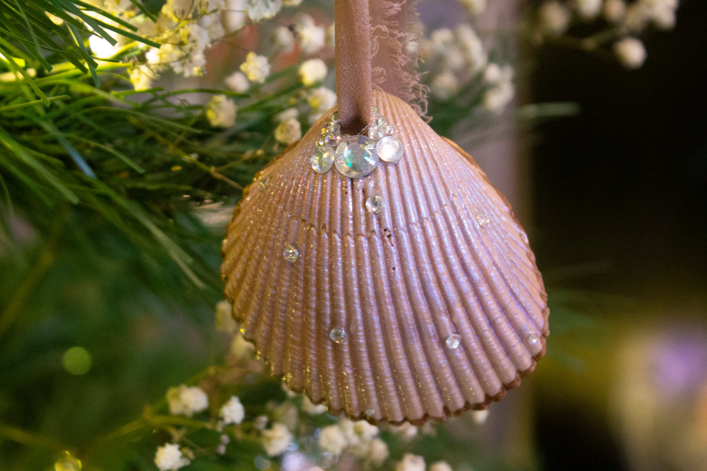 Seashell Ornaments