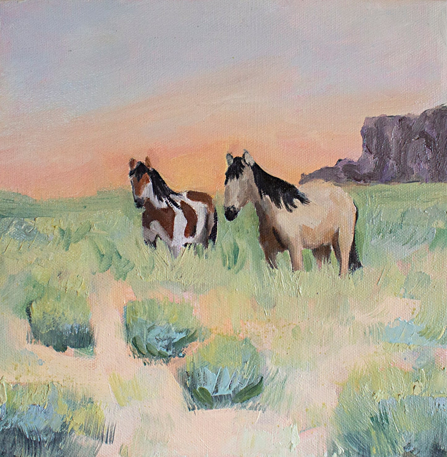 "Where the Mustangs Roam"