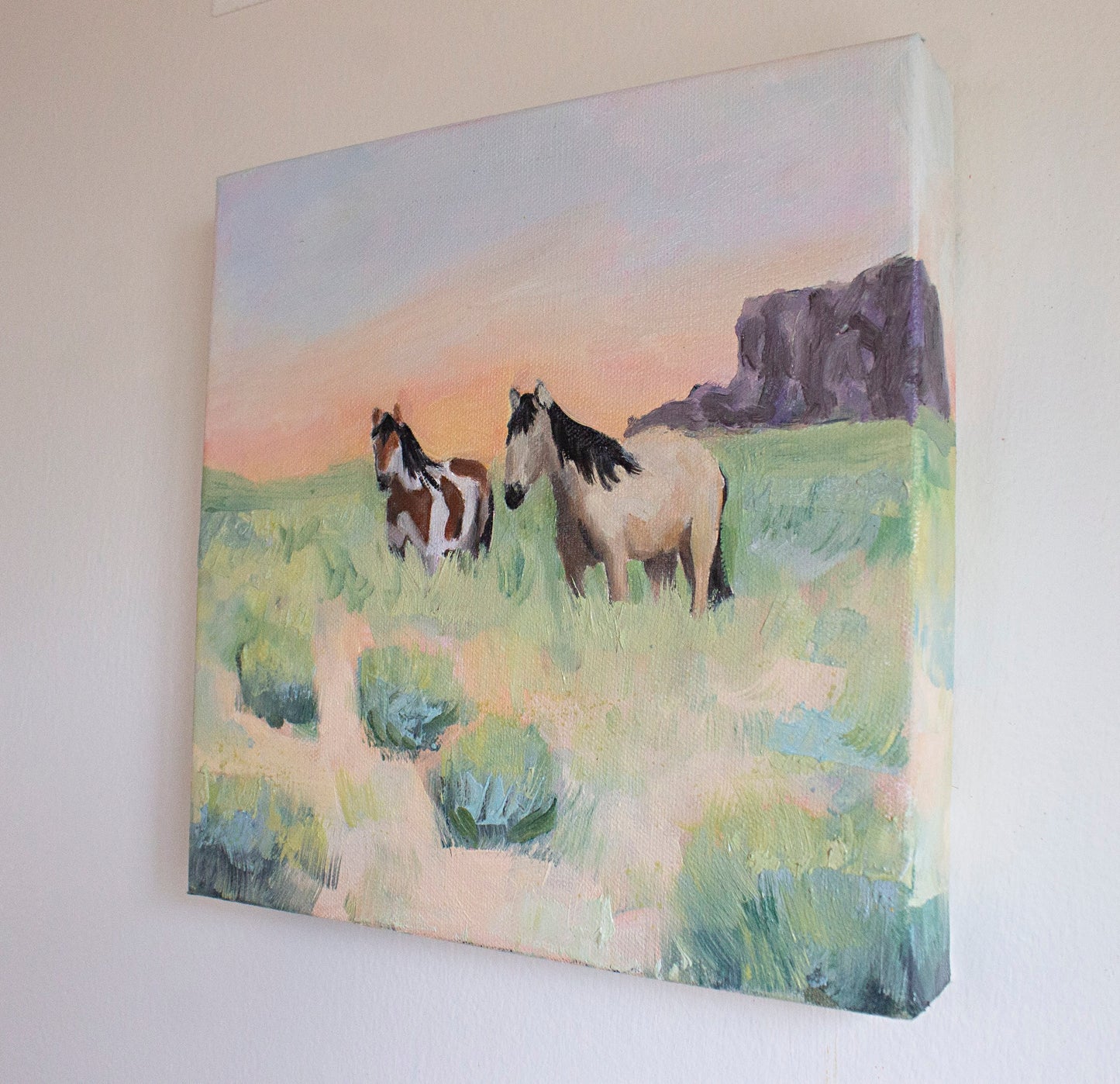 "Where the Mustangs Roam"