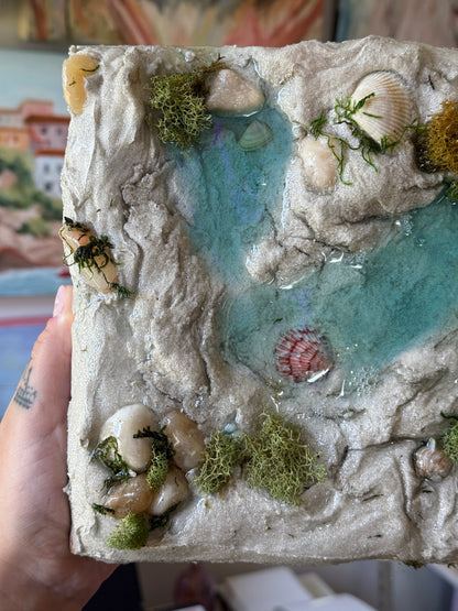 “Tide Pools I”