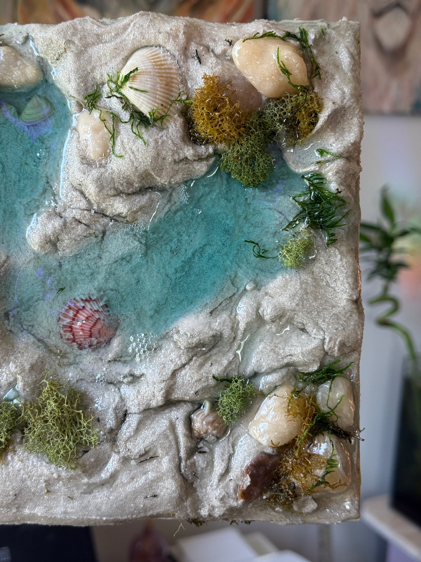 “Tide Pools I”