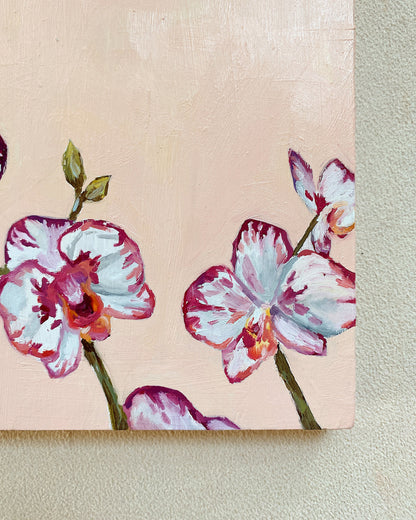 "Orchid Bloom"