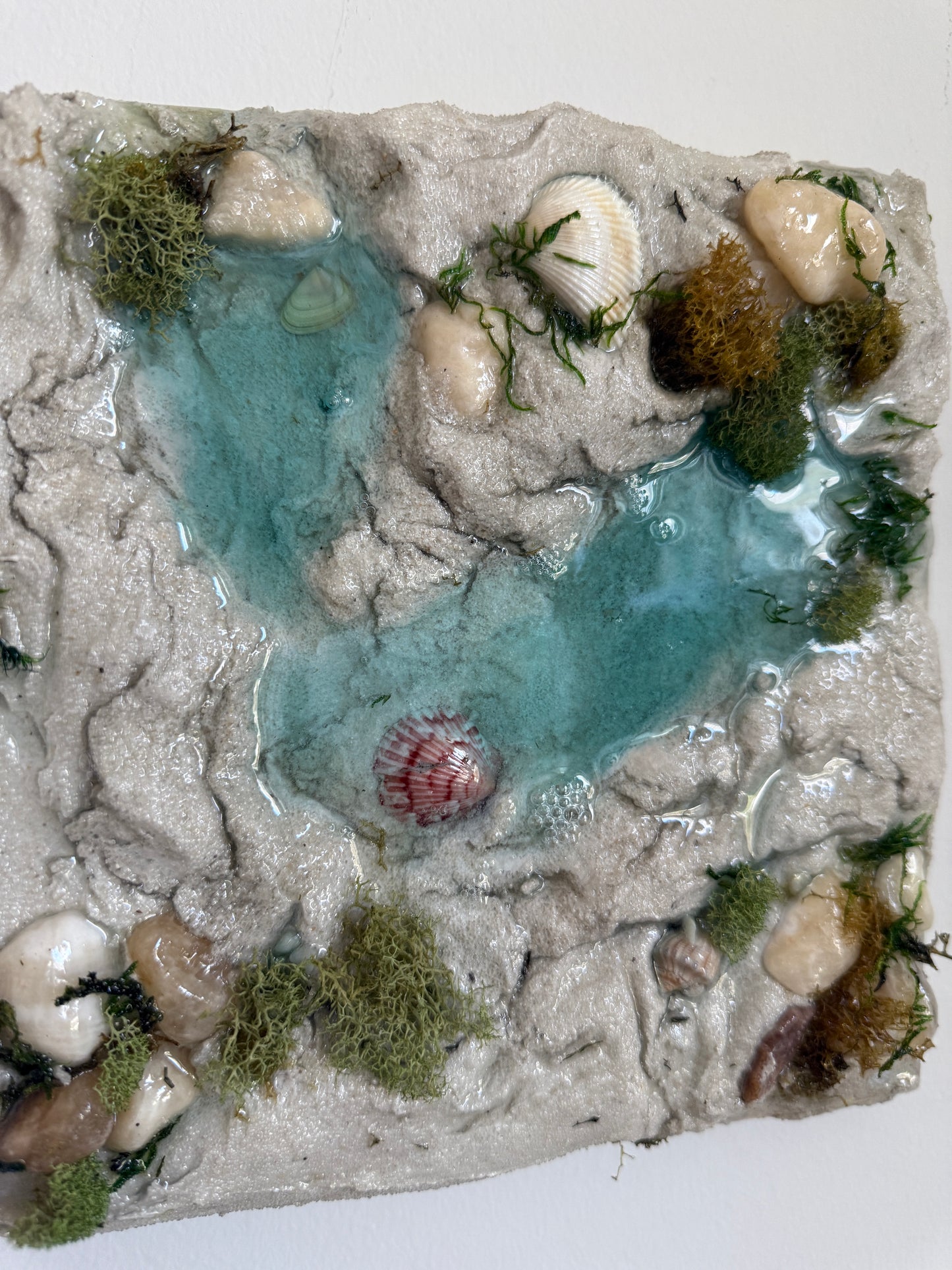 “Tide Pools I”