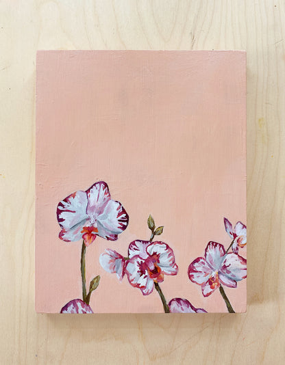 "Orchid Bloom"